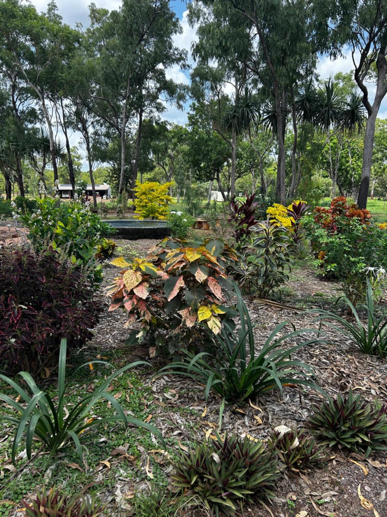 Litchfield Tropical Stay Batchelor Esterno foto