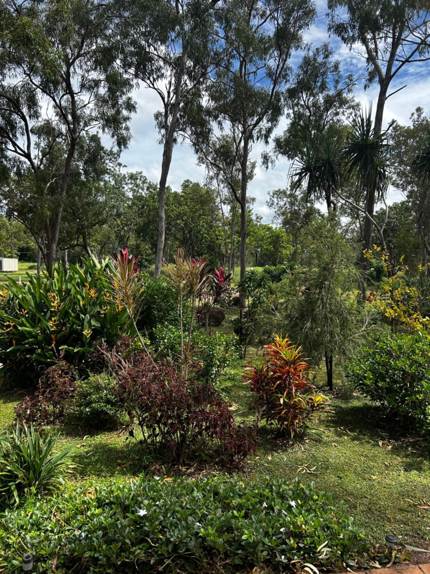 Litchfield Tropical Stay Batchelor Esterno foto