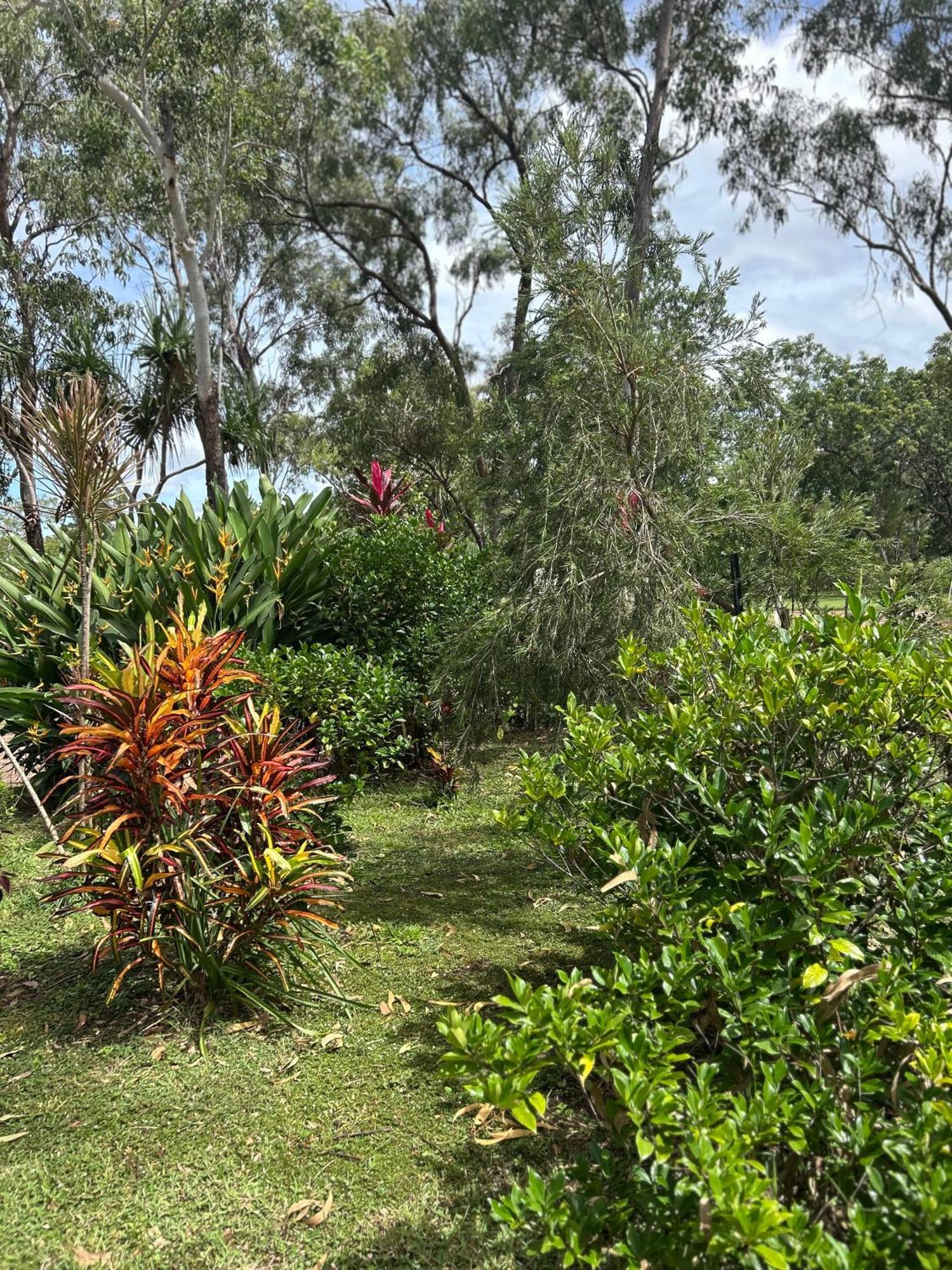 Litchfield Tropical Stay Batchelor Esterno foto